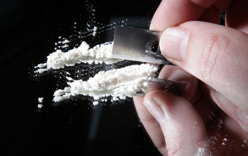 Kokaín: Droga bohatých