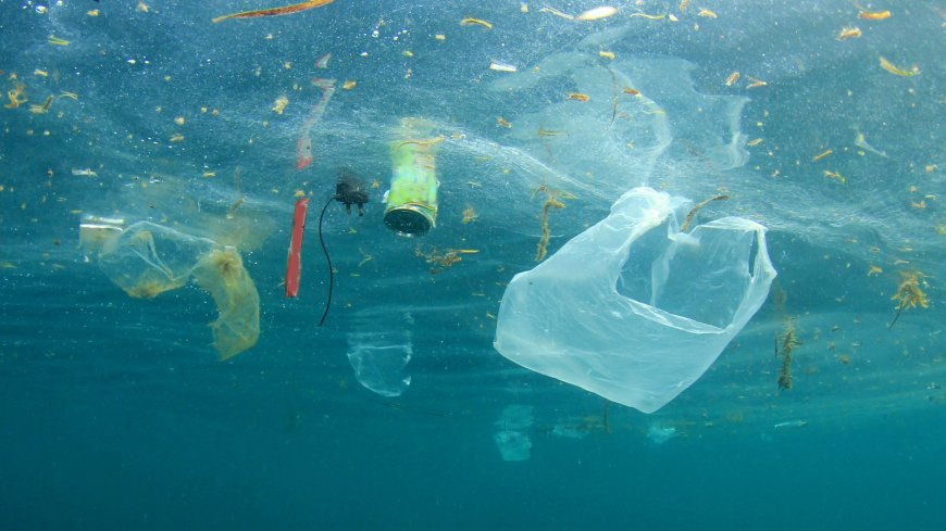 V oceánoch je pravdepodobne 30 krát menej odpadu ako sme si mysleli